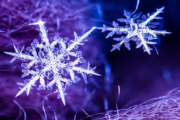 Schneeflocke / ***