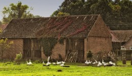 Bauernhof / ***