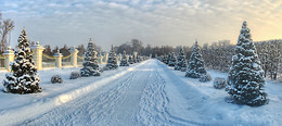 Allee / ***