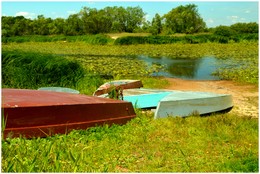 Am See. / ***