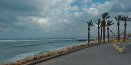 Winter Sea / ***
