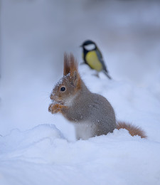 Winterbild / ***
