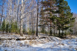 Winter- Skizze. / ***