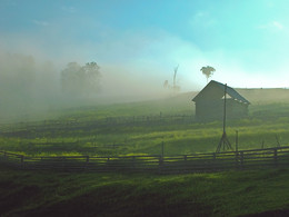 Nebliger Morgen / ***