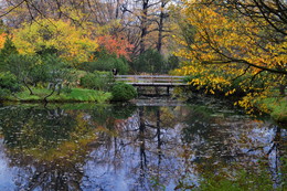 Herbst-Tag / ***