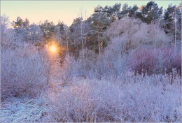 Frost überall / ***