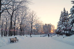 Winter / -----------