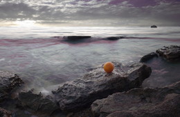 Liman / ***