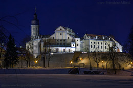 Castle Nesvizh / ***
