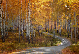 Straße zum Herbst / ***