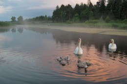 Familien / ------------------