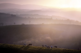 Early on a Sunday morning... / Early on a Sunday morning in the department of Cantal (France)