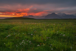 Summer Evening / ***