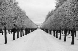 Allee / ***