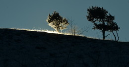 Aufgang der Sonne / ***