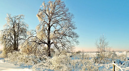Der Winter kam / ***