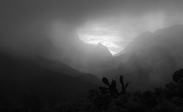 Foggy Pass / ***