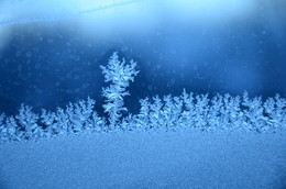  / 12.02.2016.