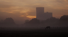 NARUR & INDUSTRIE / Im Vordergrund sah ich ein Pferd in einer LANDWIRTSCHAFTLICHEN IDYLLE. Im Hintergrund das E-on Kraftwerk in Datteln. Gegensätze pur.