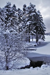 Winter Beach / ***