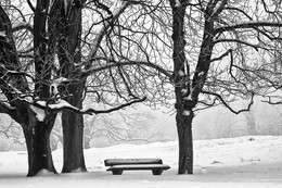 WINTERIDYLLE / Winter in der HOHEN MARK bei Dülmen. Allein war ich hier in der Natur unterwegs. Für mich strahlte dieses Motiv "RUHE und STILLE" aus.