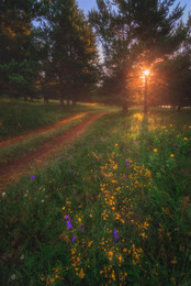 Fairytale Road / ***