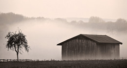 AN DER RAUSCHENBURG / An einem frühen Morgen bei Nebel an der Rauschenburg in Olfen im Münsterland.