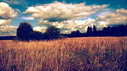 Wanderung / ***