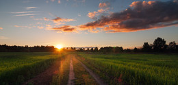 Erinnerungen an den Sommer / ***