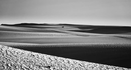 Sahara / ***