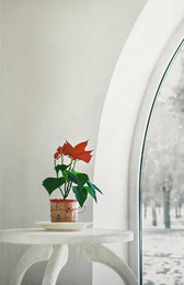 Park Cafe / ***