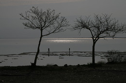 Salz / ***