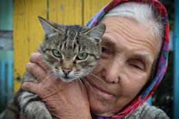Güte / ***