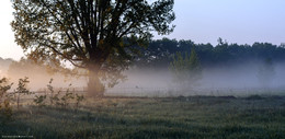 Morgen in das Dorf. / ***