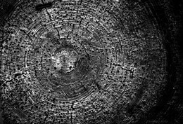 Das Universum / ...