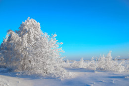 Ein schöner Tag dank Frost und Sonne / ***