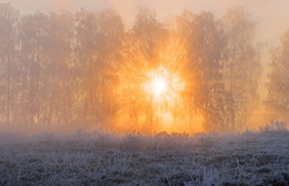 Ein schöner Tag dank Frost und Sonne / ***