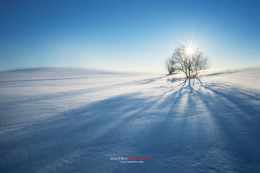 Ein schöner Tag dank Frost und Sonne / ***
