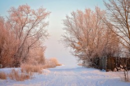 Ein schöner Tag dank Frost und Sonne / ***