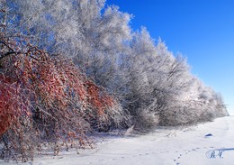 Ein schöner Tag dank Frost und Sonne / ***
