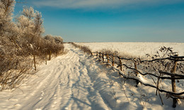 Ein schöner Tag dank Frost und Sonne / ***