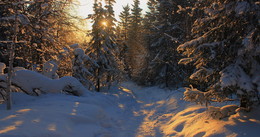 Ein schöner Tag dank Frost und Sonne / ***