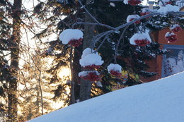 Ein schöner Tag dank Frost und Sonne / ***