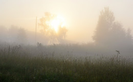 Morgen ...... / ***