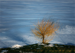 Heavenly Ice / ***