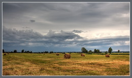 bevor der regen ... / ***