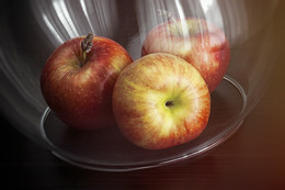 Äpfel / ***