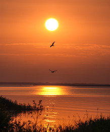 to dream of..... / ***