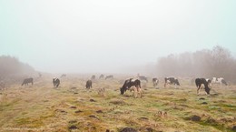 Landschaft im ländlichen Raum / 18-55