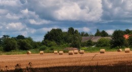 Erntezeit / ***